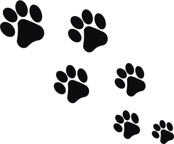 Dog Paw Prints Illustration 